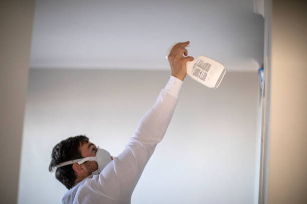 Best Local Mold Removal Service  in Jenison, MI