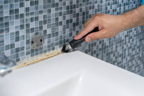 Professional Mold Removal in Jenison, MI